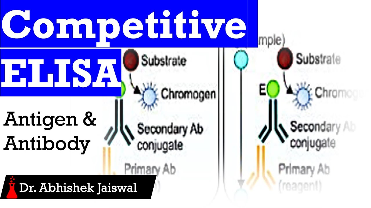 Competitive ELISAAntigen or Antibody Detection? YouTube