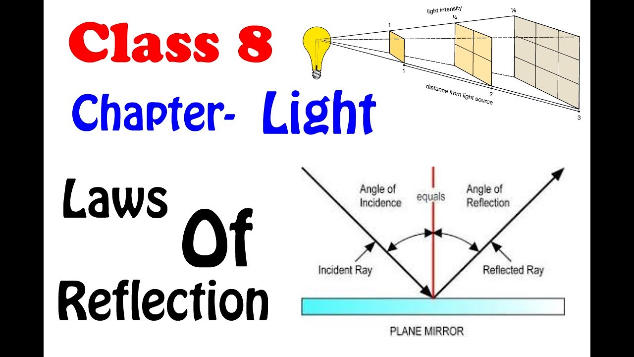 light class 8 assignment pdf