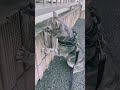 ハーネスどうっすか