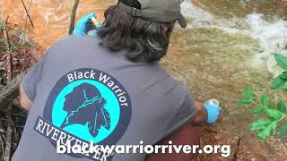 Discovering Black Warrior River Riverwalk in Tuscaloosa Alabama with Carrie Fitts Real Estate