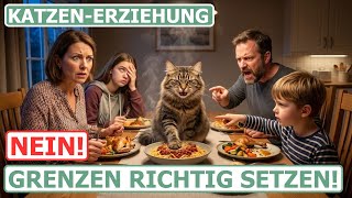 Nein! So versteht es deine Katze! Grenzen setzen in der Katzen-Erziehung screenshot 5