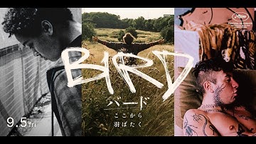 9.5公開 映画『バード　ここから羽ばたく』予告