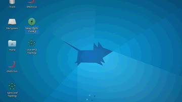 Open Network Operating System (ONOS)