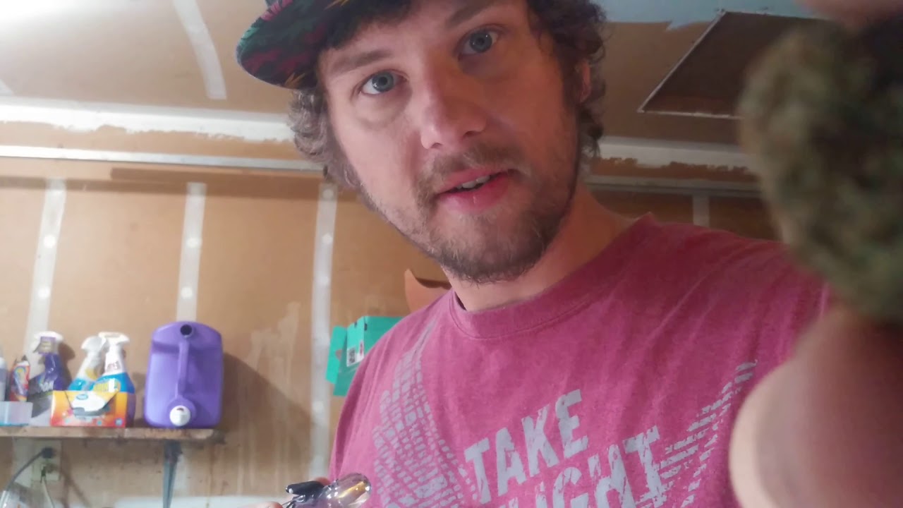 Papa buds 3.5g space cake review.