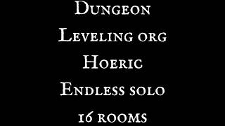 Dungeon Leveling Origin Solo heroic endless 16 rooms