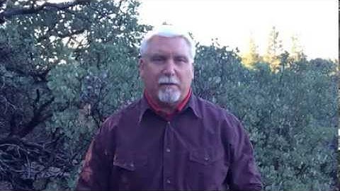 Dr. Robert Graykowski introduces the new Better Brain Blueprint program