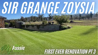 From Scalped to Strong | Sir Grange Zoysia Renovation PART 3