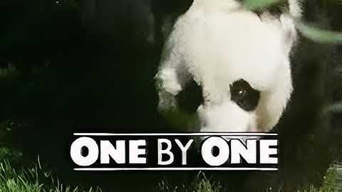 One by One - Series Three - Episode Eight - A Dying Breed