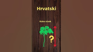 How high? The 5-minute-a-day way to learn Croatian!  #learn #croatian #high