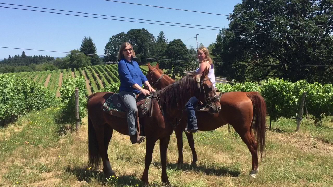 Horse Riding Near Portland Oregon YouTube