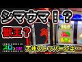 【アラジンAクラシック】天井ストッパーで地獄ｗシマウマが救世主か！？激アツ！これがアラジン！新台実践！ パチスロ実践005回目【サラリーマン スロっとる！】【ごみくずリーマンスロッター】