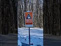 Via Transilvanica, Bistrița Bargaului - Dorolea, #hiking #winterhiking #mountains