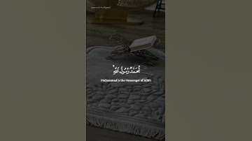 سورة الفتح _ محمد رسول الله والذين معه_ القارئ ياسر الدوسري _ كرومات قرآن شاشة سوداء#quran #اكسبلور