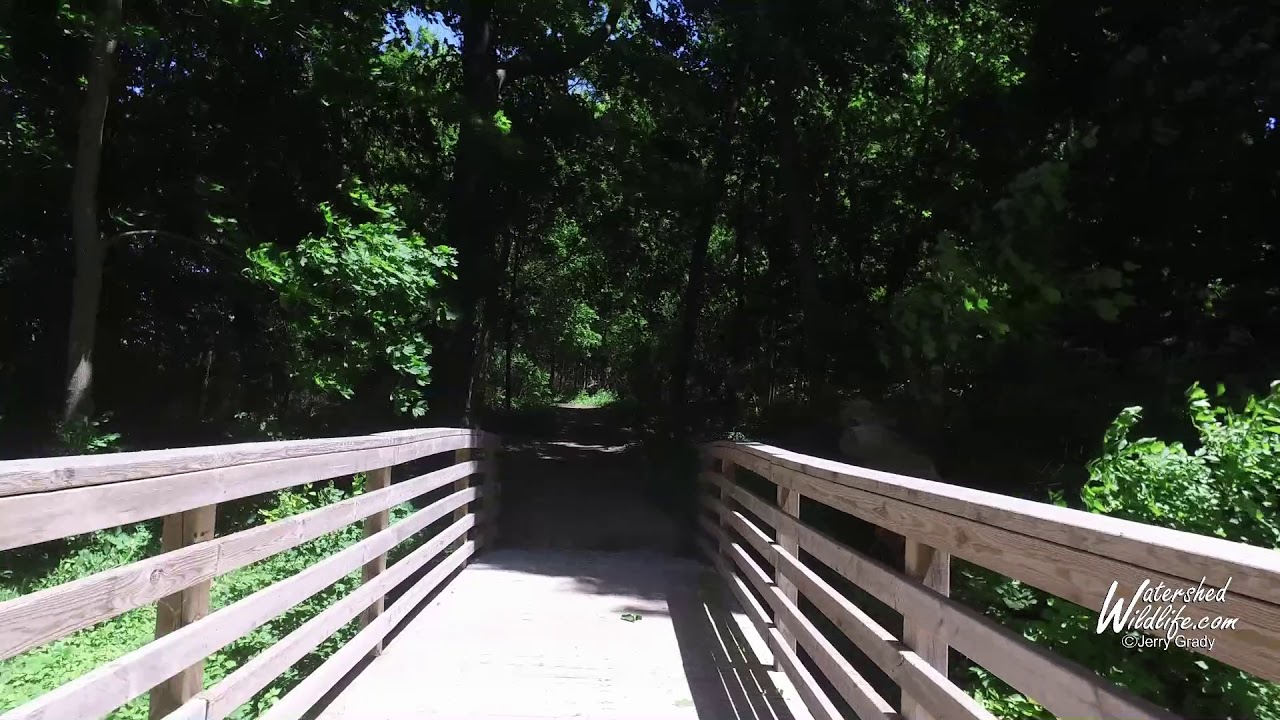 nature photography quotes A Walk on The White River Trail