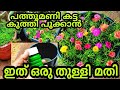 ദിവസങ്ങൾ മതി പൂക്കൾ വന്നു നിറയും | Pathumani Poovu Malayalam