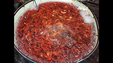 Đổ lửa, rực đỏ cá chép vàng ngày ông Công, ông Táo tại chợ cá | Chợ cá làng Sở Thượng