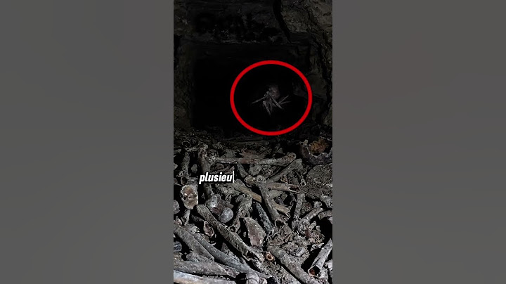 Qu'est ce qu'il se passe dans les catacombes de paris ? #catacombes #mystère #scary #tunnel #paris