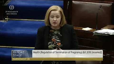 Deputy Ruth Coppinger - Government Business - 29.11.2018