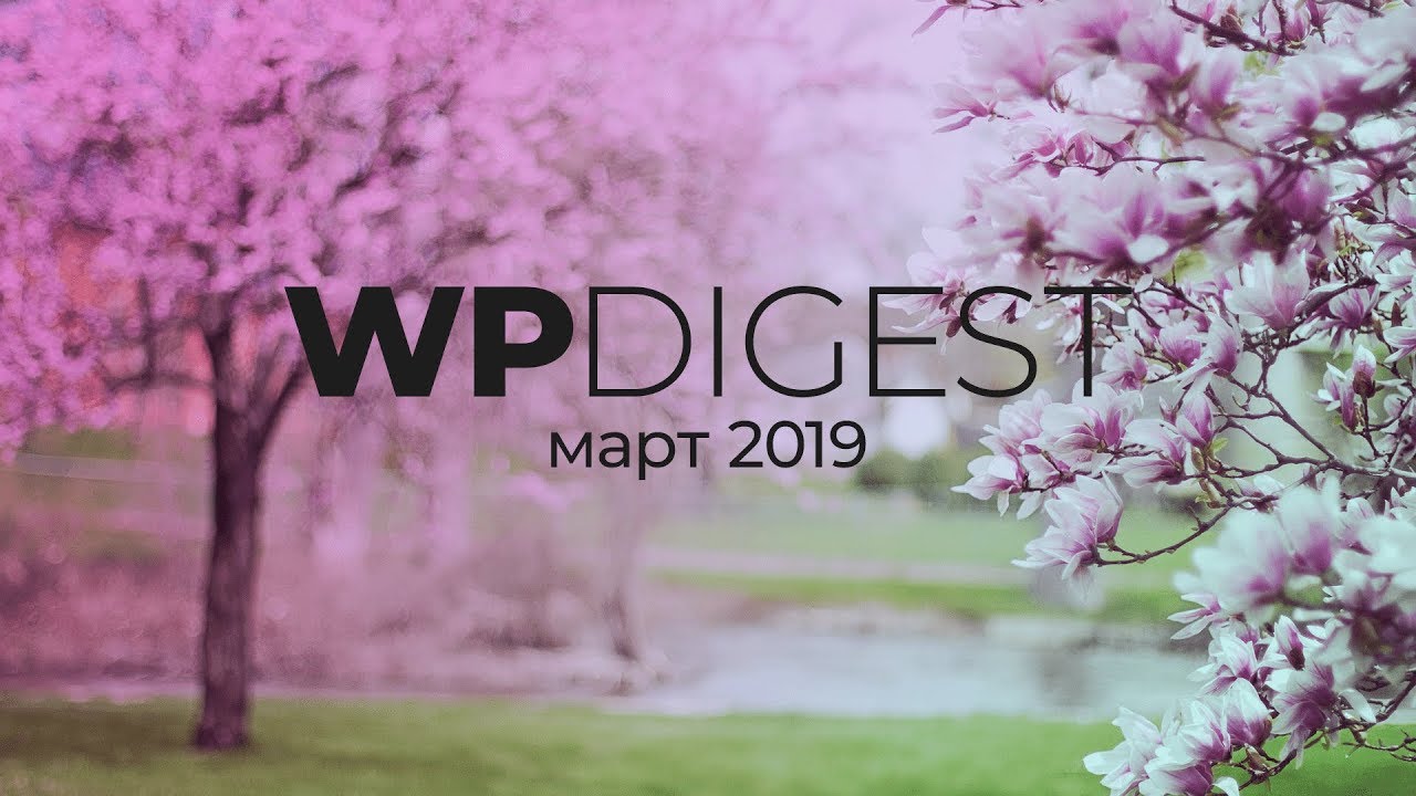 ⁣WP digest. Март 2019. Что было нового?