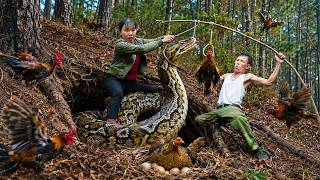 72 Hours Survival: Giant 100kg Python Trapped in Chicken Trap - Shocking Forest Scene!