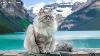 Music For Cat  Soothing Sounds For Deep Relaxation, Music Helps Reduce Anxiety  Ocean Wave Sound