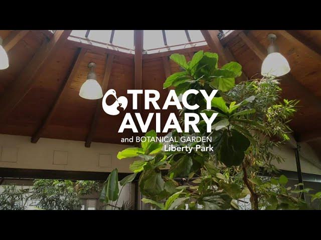 Tracy Aviary At Liberty Park Entrance Fee