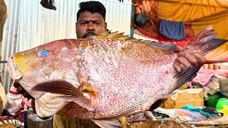 Kasimedu Selvam Fast Fish Cutting Uk Sons Marine
