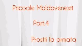 Pricoale Moldovenesti (mori de ras)