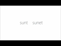 sunt sunet