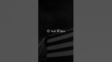 يَا أَيُّهَا الَّذِينَ آمَنُوا اذْكُرُوا اللَّهَ ذِكْرًا كَثِيرًا - سورة الأحزاب - علي جابر