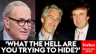 BREAKING NEWS: Schumer Warns Trump Against Only Partially Releasing Epstein Files As Deadline Nears