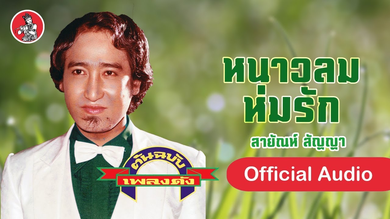 หนาวลมห่มรัก - สายัณห์ สัญญา  [Official Audio]