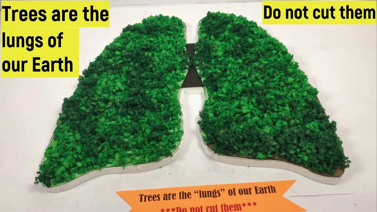 Save trees model | Do not cut trees| Trees are the lungs of our Earth ...