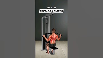 ¿Cómo dividir tus entrenamientos semanales para conseguir resultados en el gimnasio? 👑