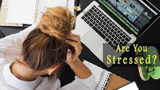 Are You Stressed? Take Your Mind On Vacation -