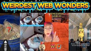 weirdest web wonders vol 292