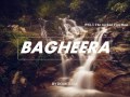  sold pnl  theweeknd type beat  bagheera prod by doubtless