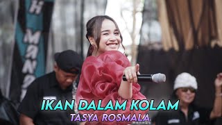 TASYA ROSMALA - IKAN DALAM KOLAM DK MUSIK LIVE MRANGGEN JAWA TENGAH || WEDDING RAHAYU & RAHMAD ||
