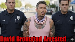 Famous HGTV Star David Bromstad Arrested on Drug Trafficking Charges Wealth