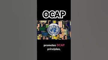 Are Indigenous Voices Left Out of AI?