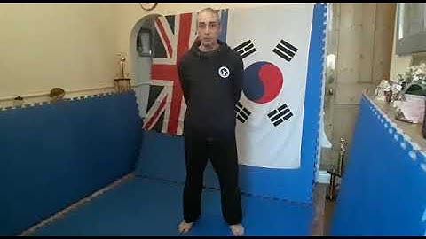 BWMA tutorial. Basic elbow strikes