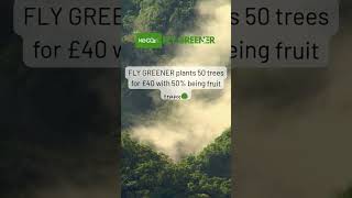 Travel Greener: Why Offsetting CO₂ Makes a Difference #CarbonOffset #TreePlanting #NoCO₂ #FlyGreener