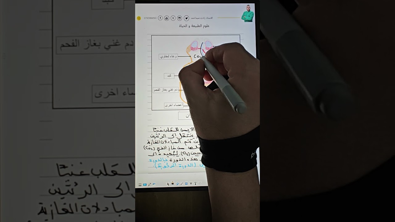 شرح مفصل لجهاز الدوران و دوران الدم في العضوية متراطيش
