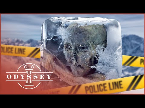THE BIZARRE CASE OF THE 5,000-YEAR-OLD MUMMY FROZEN IN THE ALPS