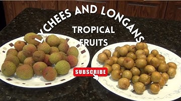 Lychee and Longan - Tropical Fruits
