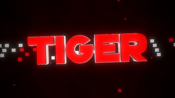 Tiger PvP Intro (First Video)