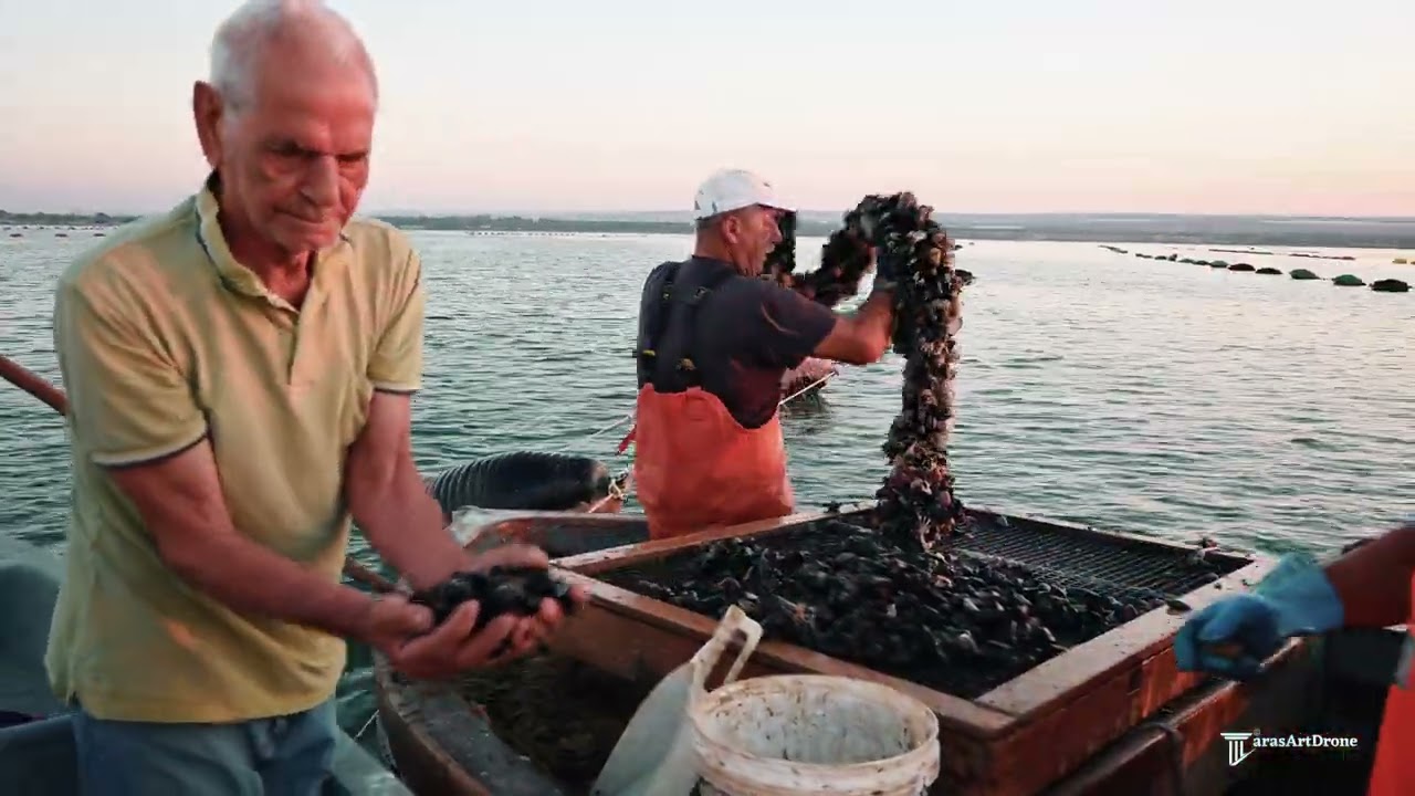 Omaggio a Mar Piccolo di Taranto, pescatori e Mediterraneo