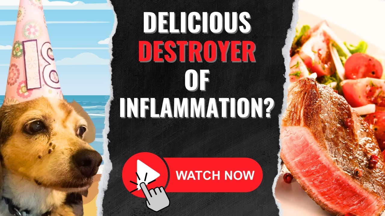 Does the Keto Diet Reduce Inflammation in Dogs? | Ketogenic Diet for Dogs