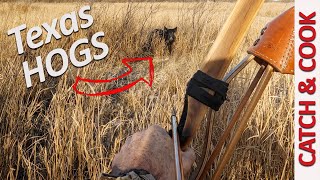 Bowhunting TEXAS HOGS  Spot and Stalk CATCH & COOK