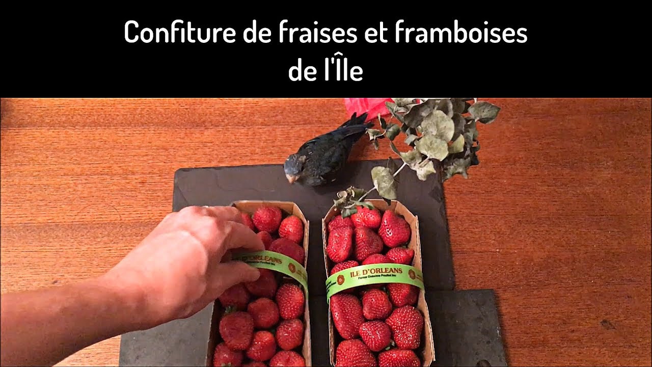 La meilleure confiture de fraises et framboises du Québec YouTube